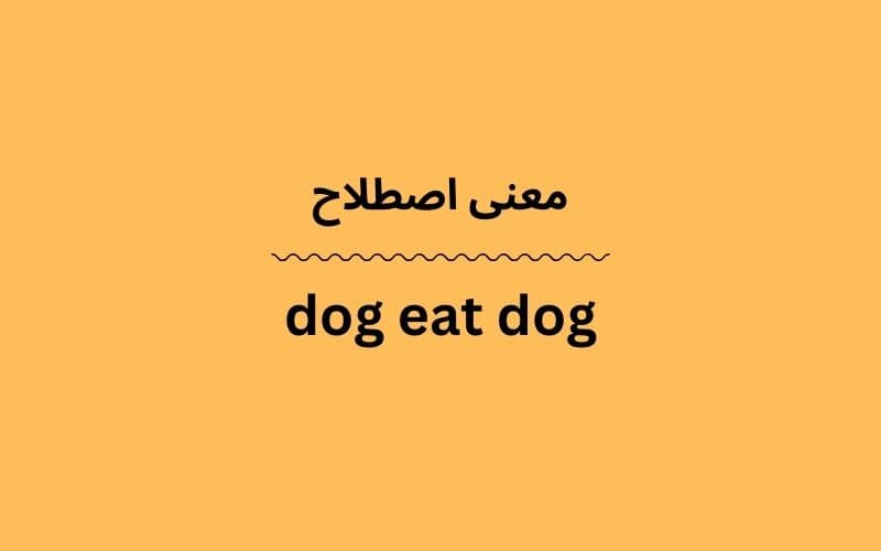 معنی dog eat dog چیست؟