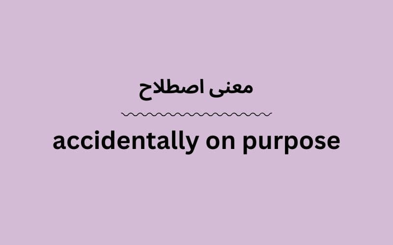 معنی accidentally on purpose