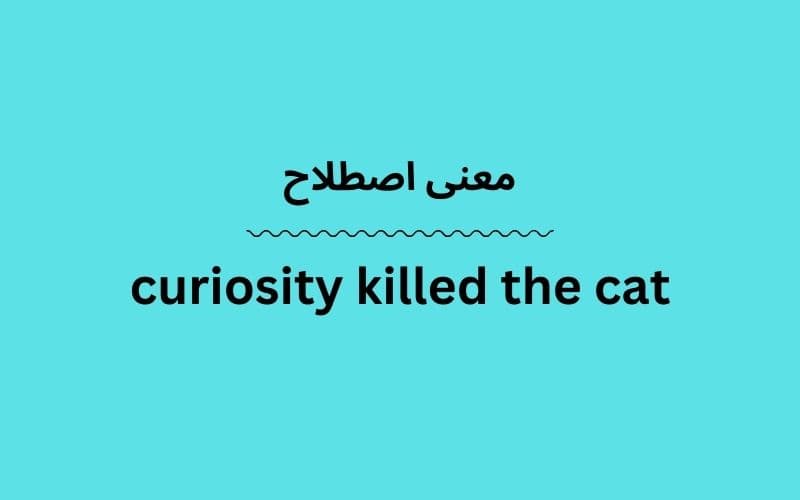 معنی curiosity killed the cat