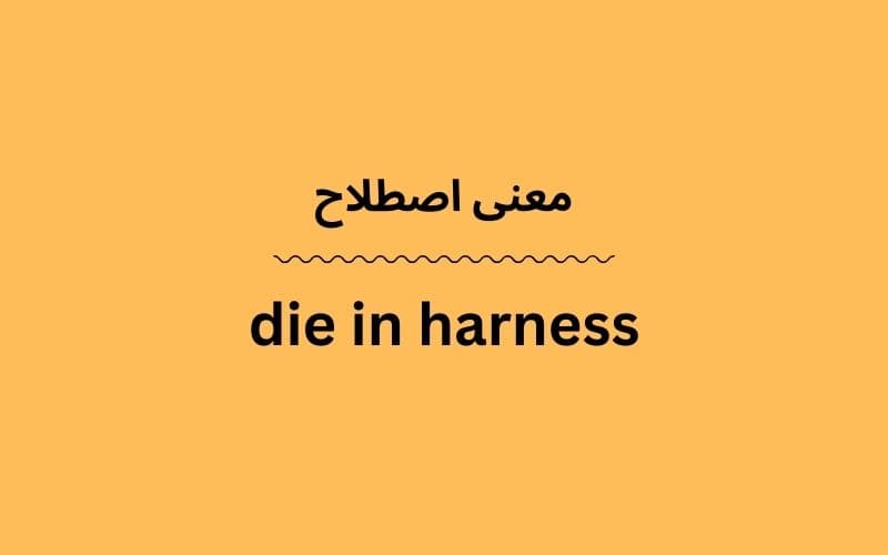 معنی die in harness چیست؟