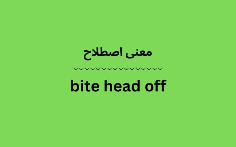 معنی bite head off