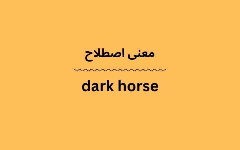 معنی dark horse چیست؟