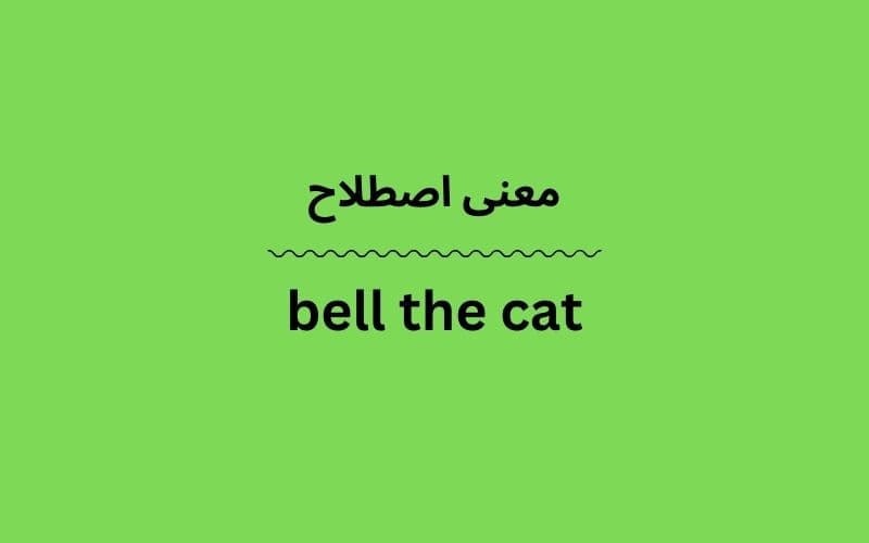 معنی bell the cat