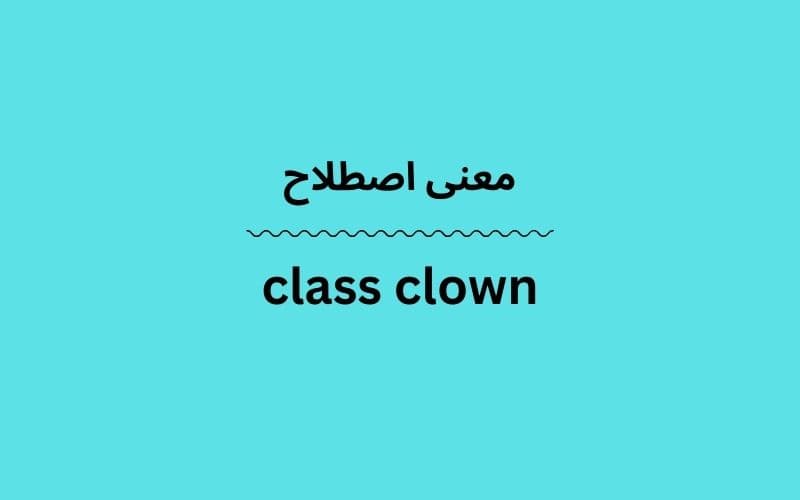 معنی class clown