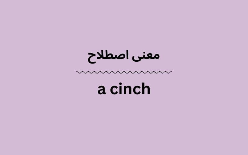 معنی a cinch