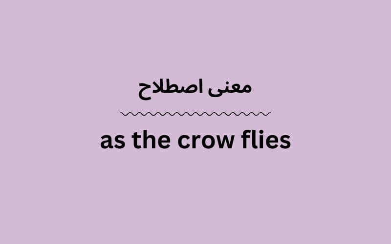 معنی as the crow flies