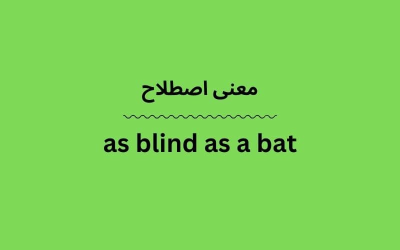 معنی as blind as a bat