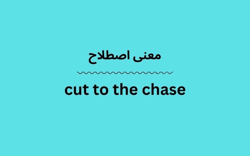 معنی cut to the chase
