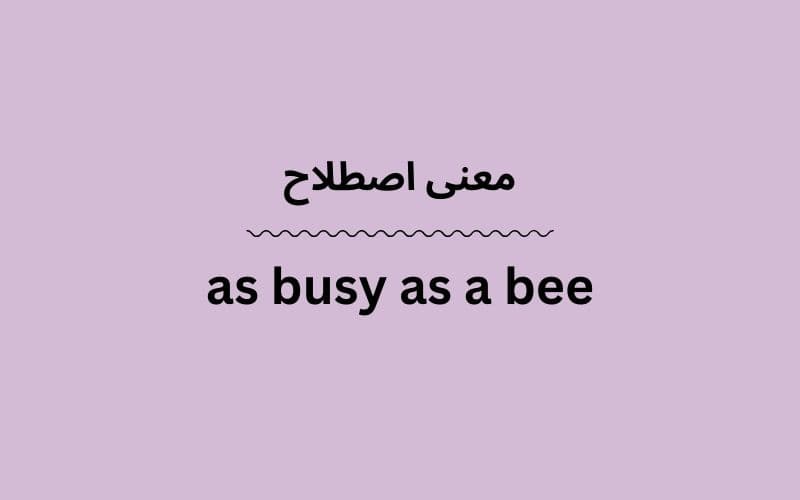 معنی as busy as a bee