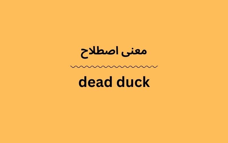 معنی dead duck چیست؟
