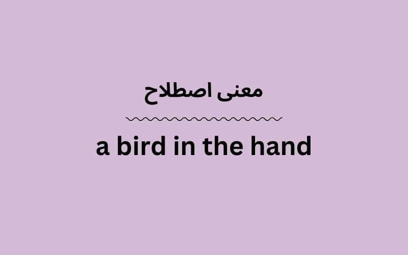 معنی a bird in the hand