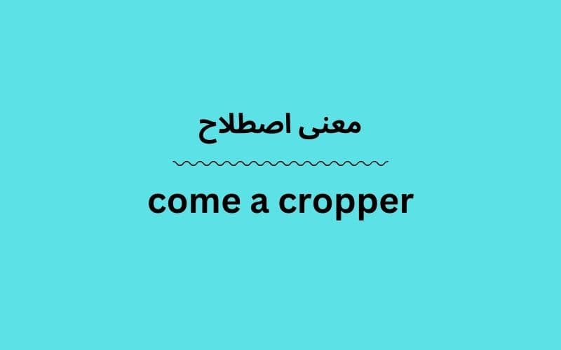 معنی come a cropper