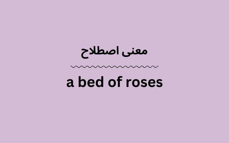 معنی a bed of roses