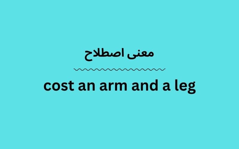 معنی cost an arm and a leg