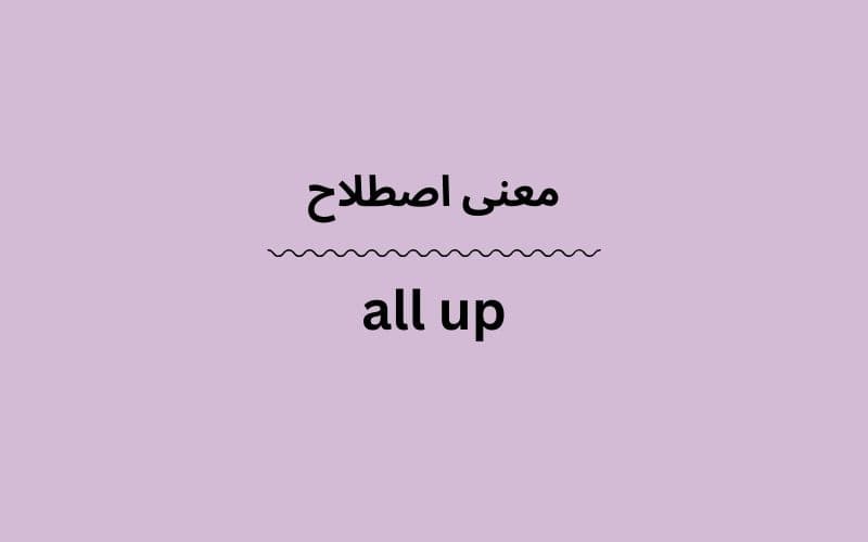 معنی all up