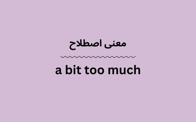 معنی a bit too much