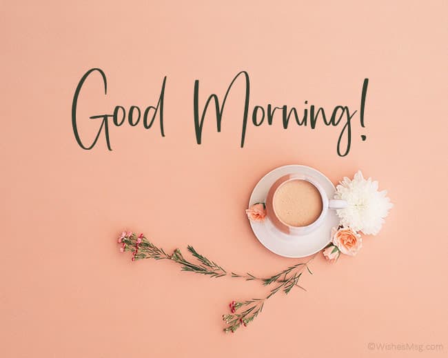 در پاسخ good morning چی بگیم؟