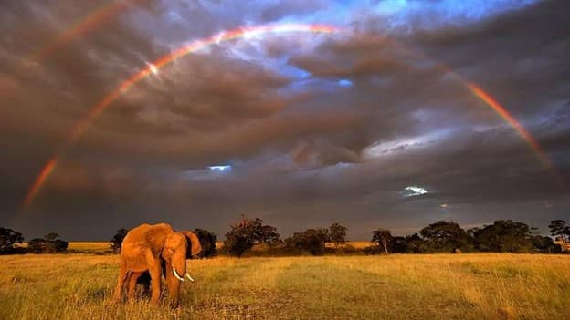 دانلود زیرنویسPlanet Earth.jpg