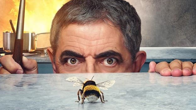 دانلود زیرنویس انگلیسی Man vs Bee