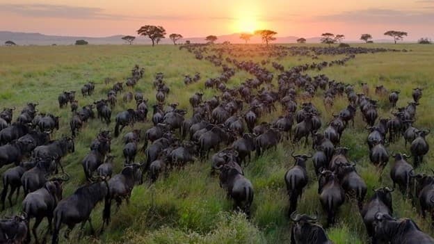 دانلود زیرنویس انگلیسی Planet Earth