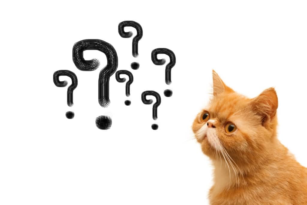 جواب I have a question