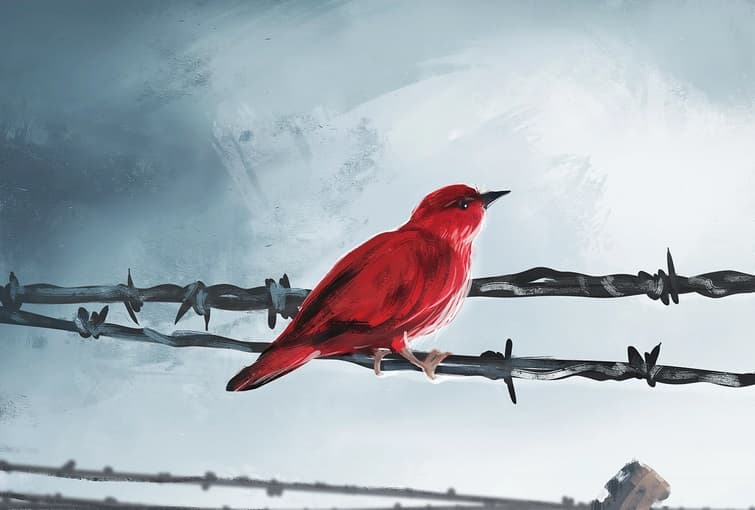 خلاصه کتاب انسان در جستجوی معنا.jpg