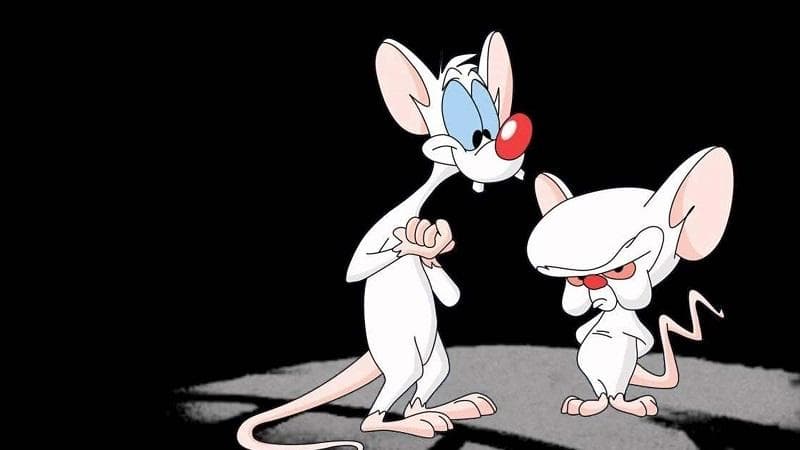 خلاصه کتاب داستان The town mouse and the country mouse.jpg