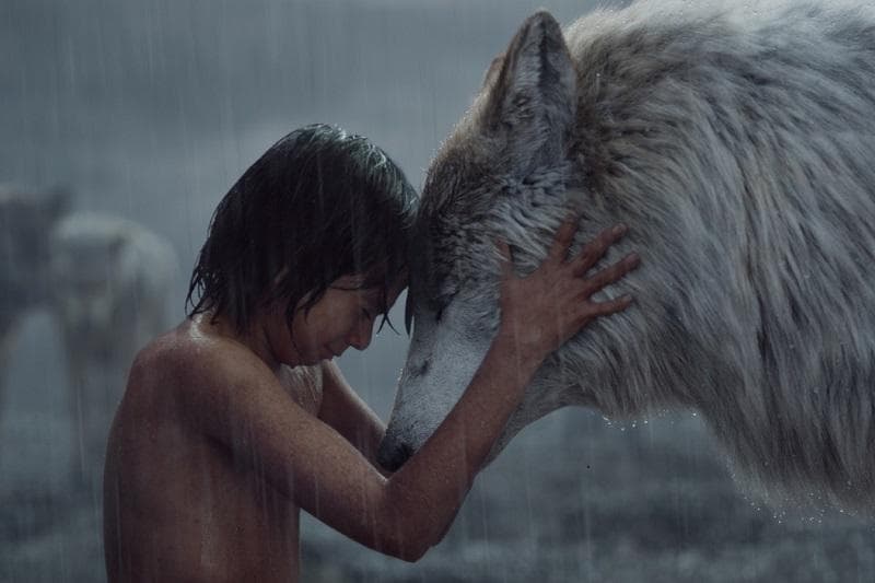 خلاصه کتاب داستان انگلیسی The Jungle Book.jpg