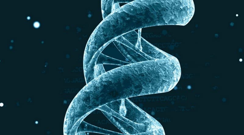 خلاصه کتاب دوگانه مارپیچ.jpg