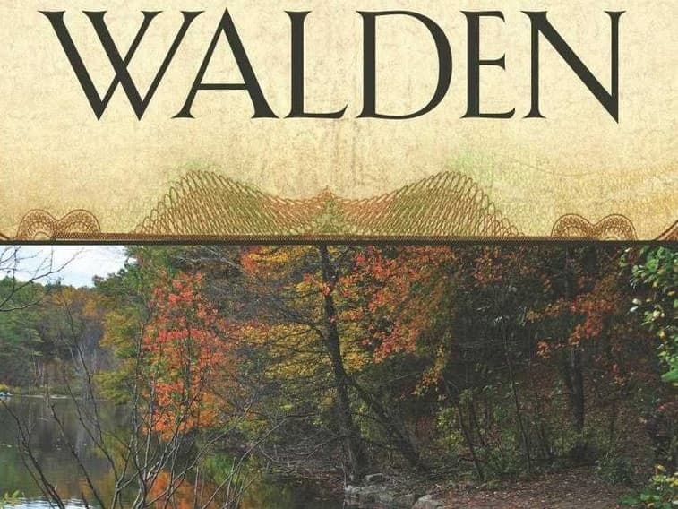 خلاصه کتاب والدن.jpg