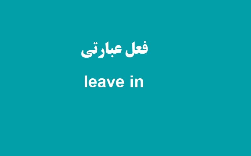leave in.jpg