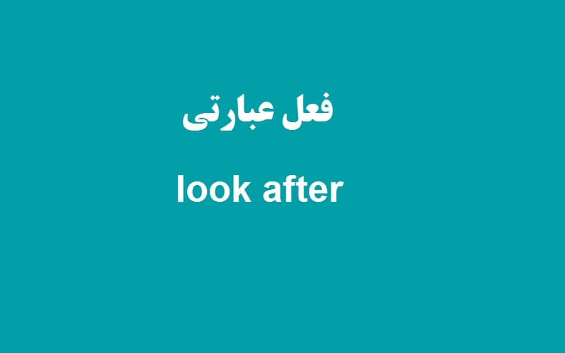 look after.jpg