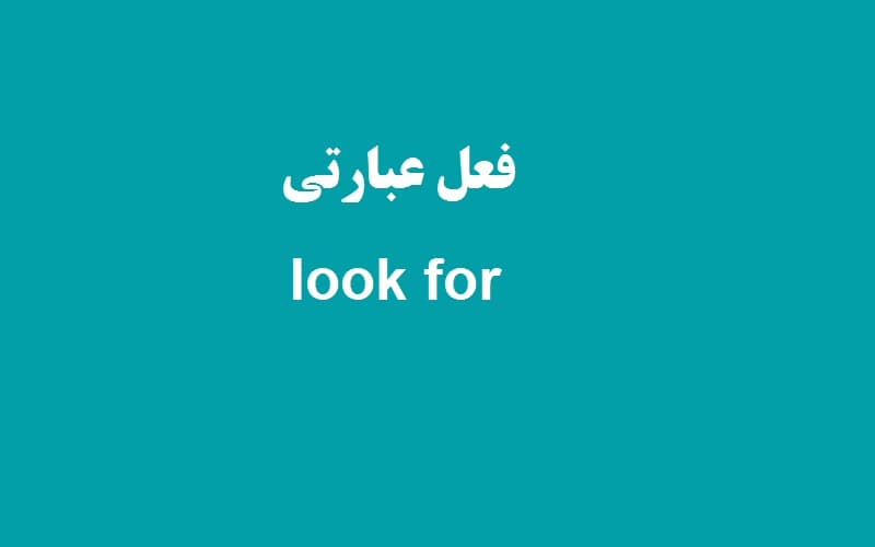 look for.jpg