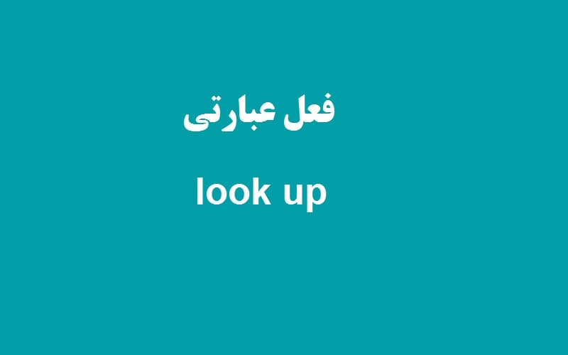 look up.jpg