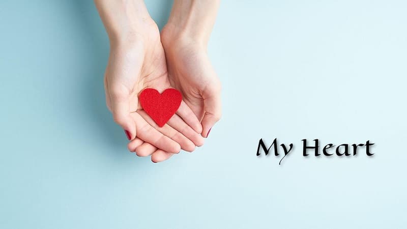 معنی جمله my heart چیست؟.jpg