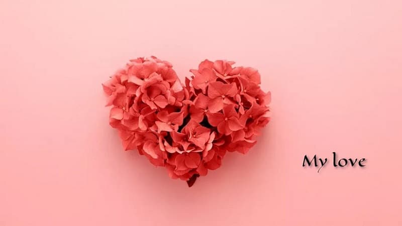 معنی جمله my love چیست؟.jpg