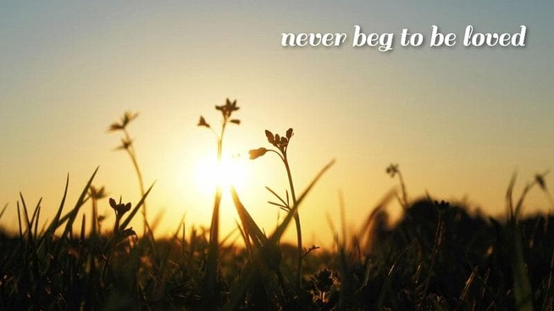 معنی جمله never beg to be loved چیست؟.jpg