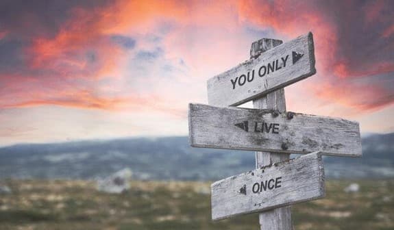 معنی جمله you only live once چیست؟