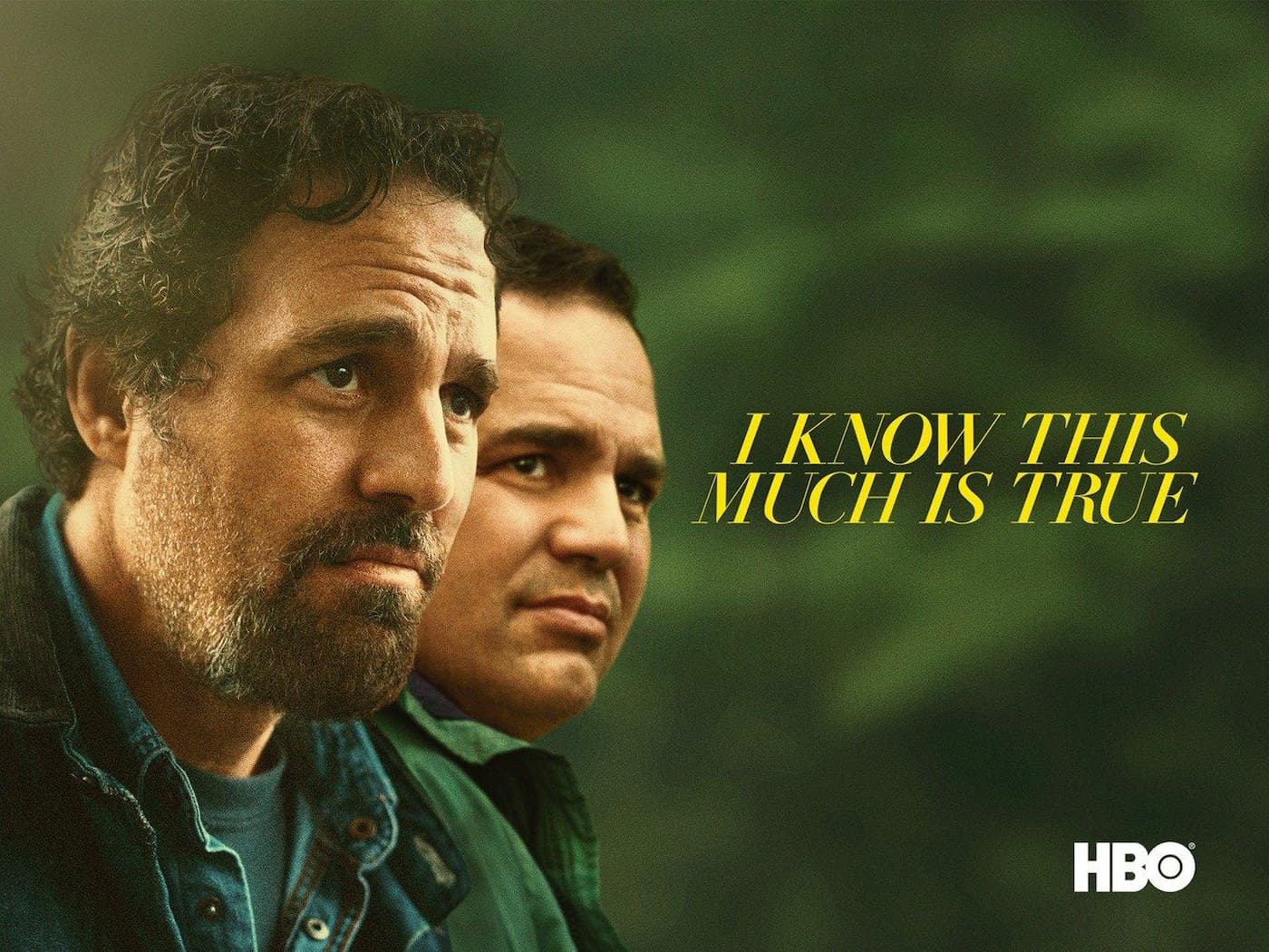 مینیسریال I Know This Much Is True