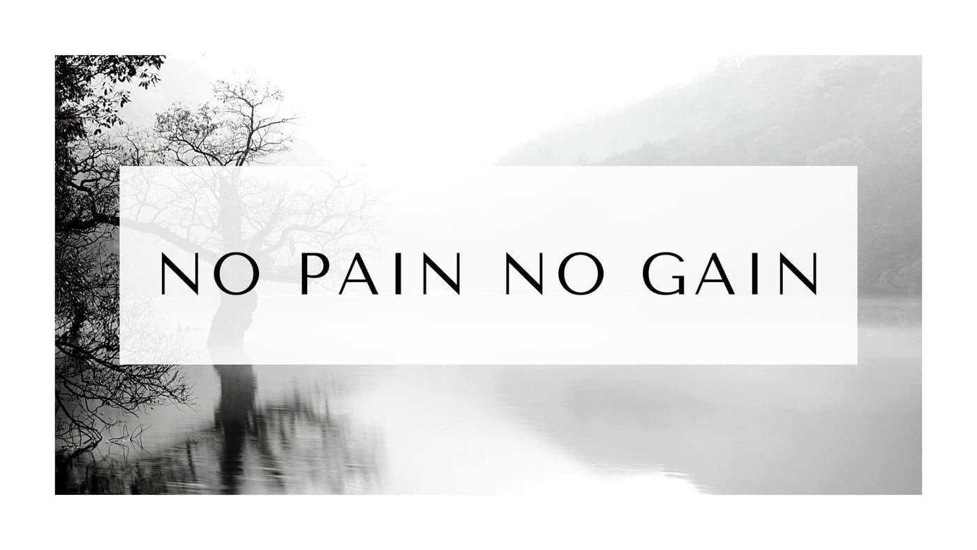no pain no gain.jpg
