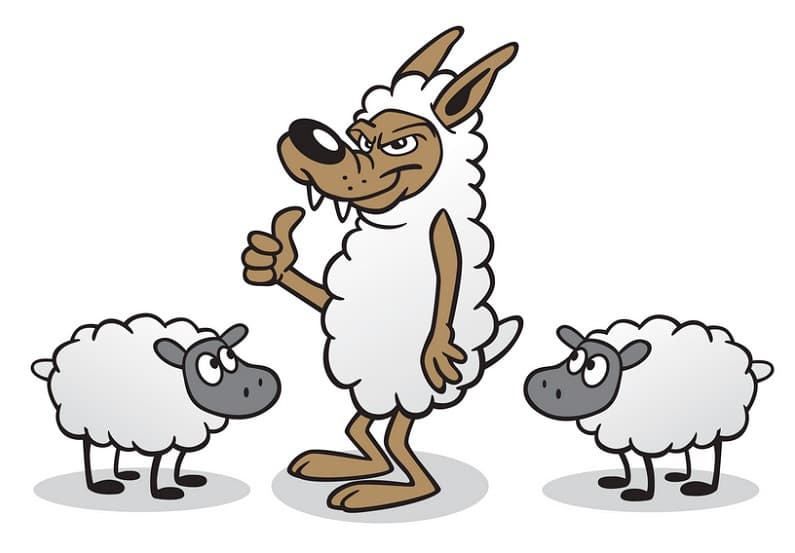 تصویری کارتونی از دو گوسفند و گرگی که خود را به شکل گوسفند درآورده است