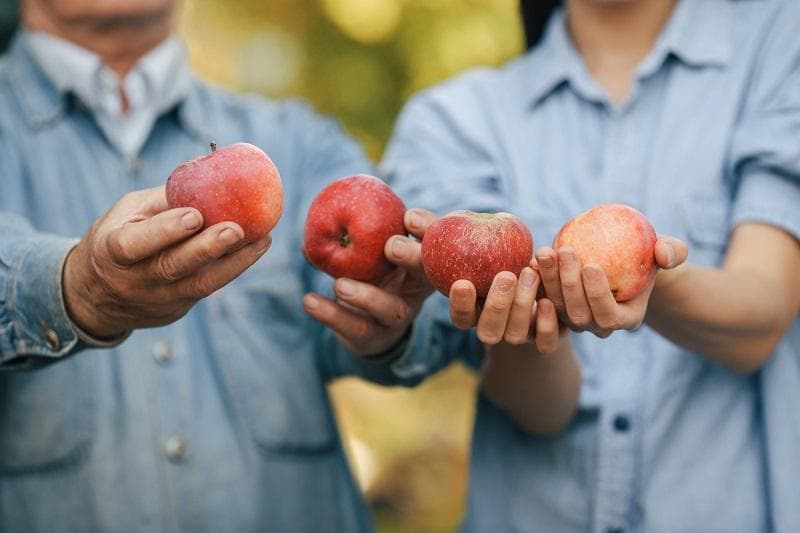 داستان کوتاه انگلیسی درباره میوه با ترجمه فارسی