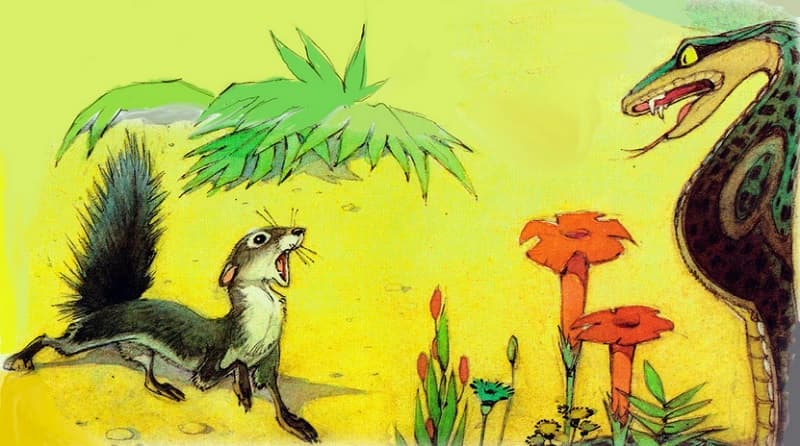تصویری کارتونی از یک مار و یک سمور