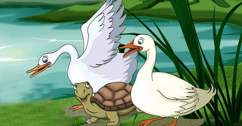 تصویری کارتونی از دو قو و یک لاکپشت در کنار برکه