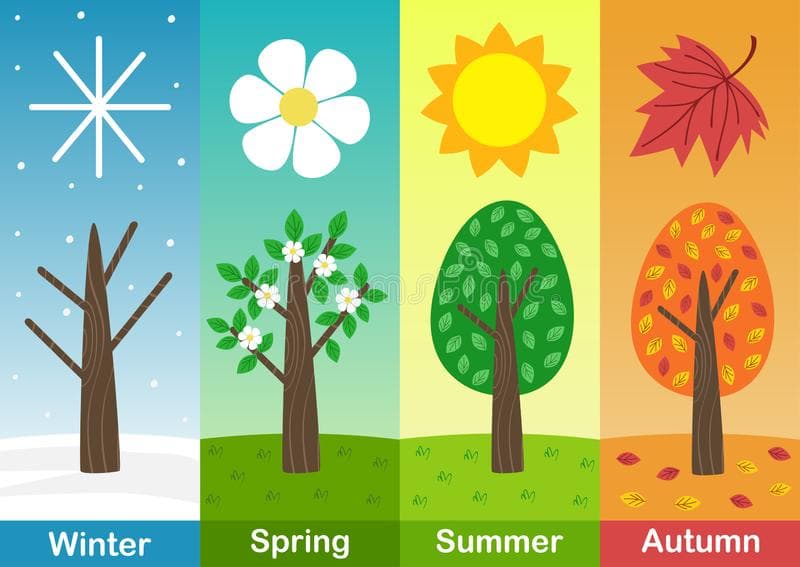four-seasons-banners-trees-vector-illustration-eps-four-seasons-banners-trees-167478113.jpg