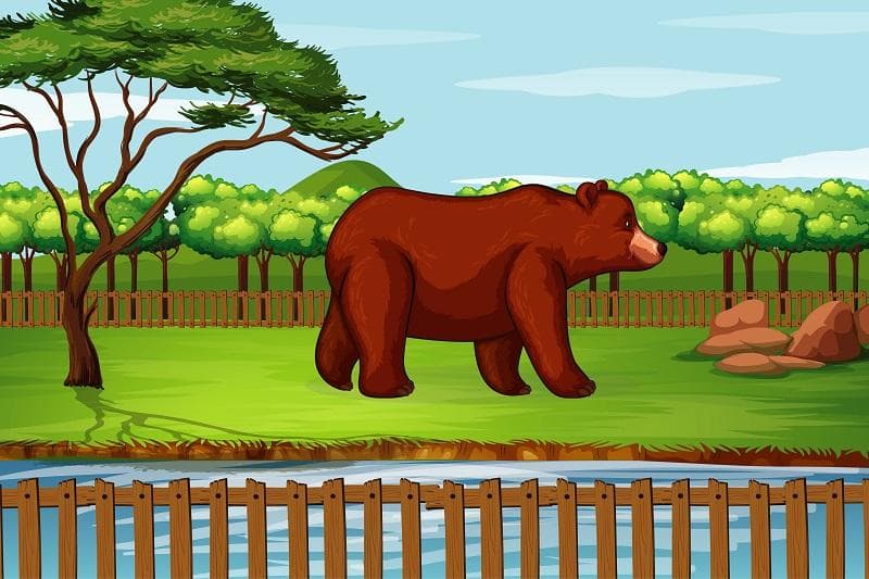 خلاصه کتاب انگلیسی The Bear On The Stairs نوشته کاترین هارپر.jpg