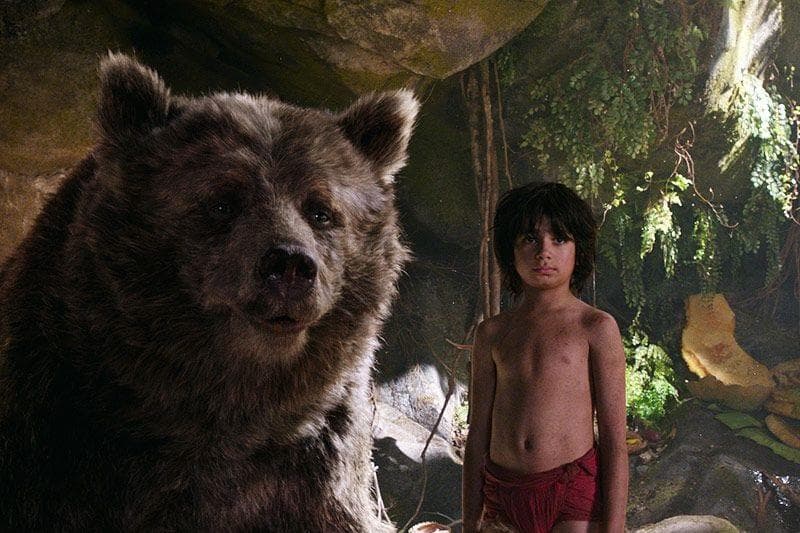 خلاصه کتاب داستان "The Jungle Book" نوشته Rudyard Kipling
