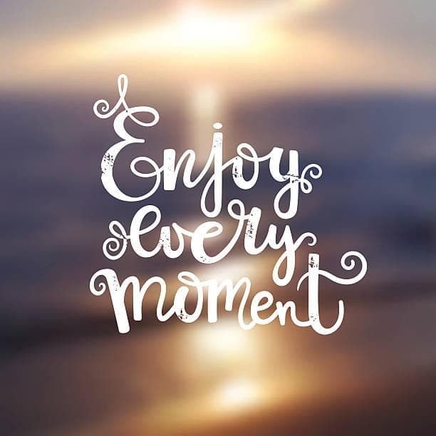 معنی جمله Enjoy every moment چیست؟.jpg