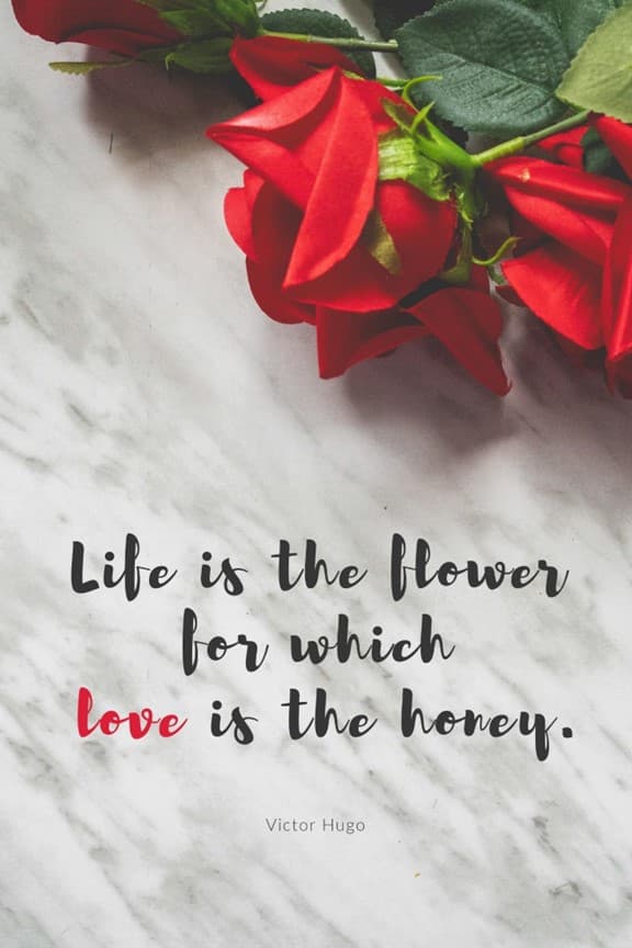معنی جمله Life is the flower for which love is the honey چیست؟