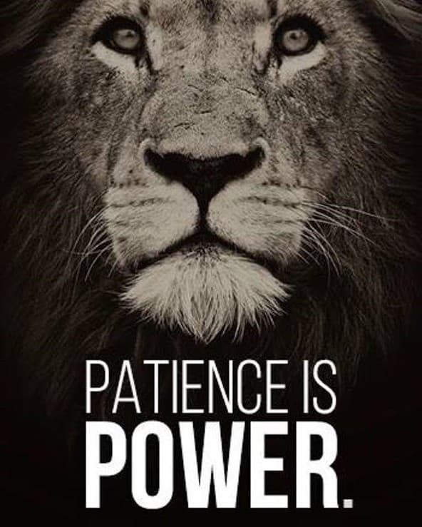 معنی جمله Patience is power چیست؟